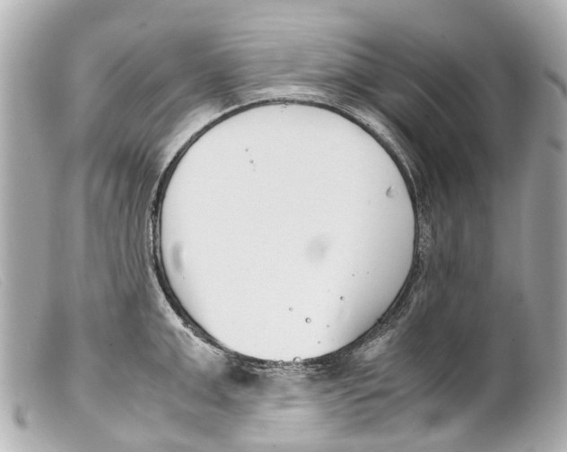 X0000099400999200805291206