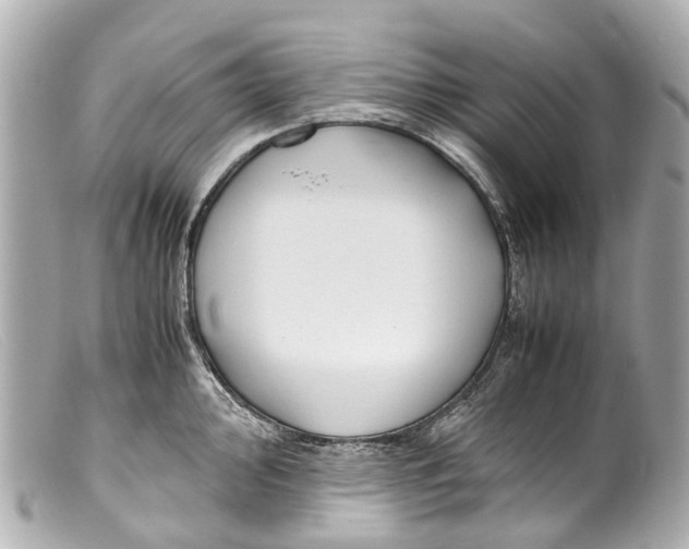 X0000099401000200805291206