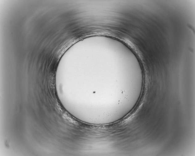 X0000099401001200805291206