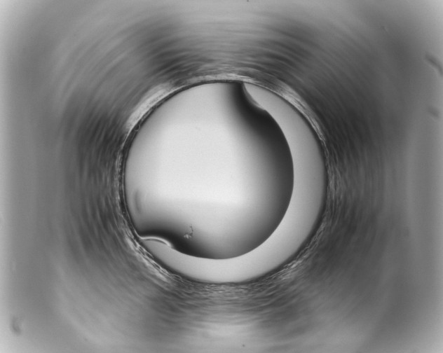 X0000099401002200805291206