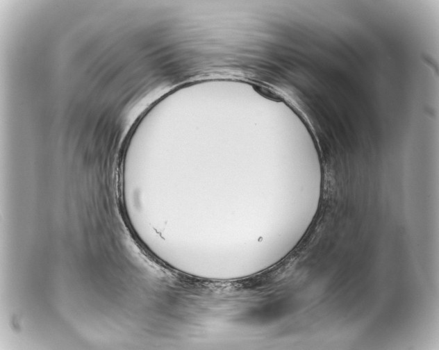 X0000099401003200805291206