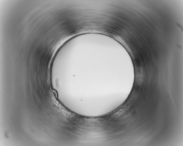 X0000099401004200805291206