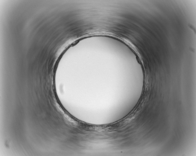 X0000099401005200805291206