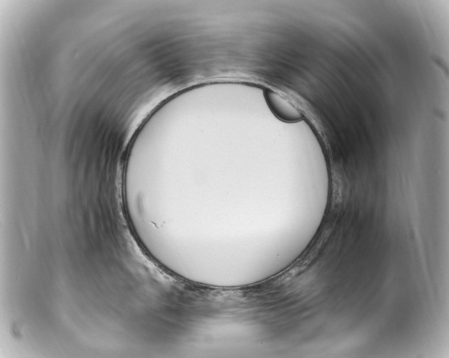 X0000099401006200805291206