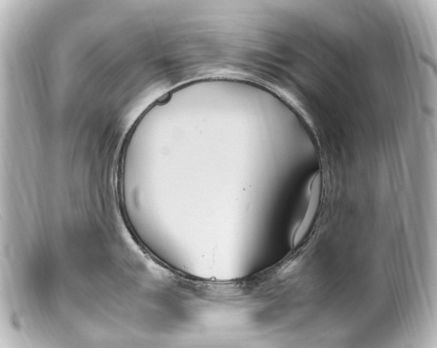 X0000099401007200805291206