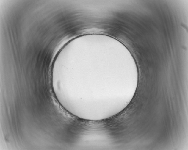 X0000099401008200805291206