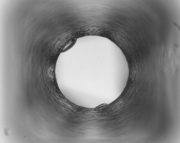 X0000099401010200805291205