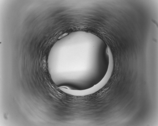 X0000099401011200805291205