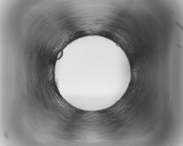 X0000099401012200805291205