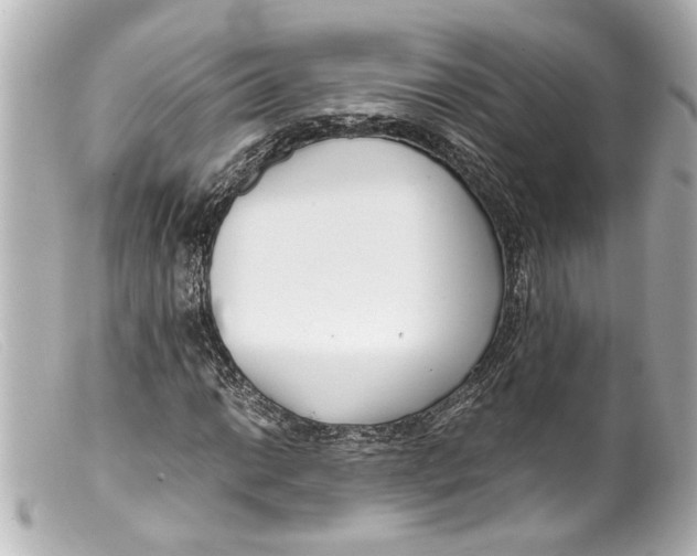 X0000099401014200805291205