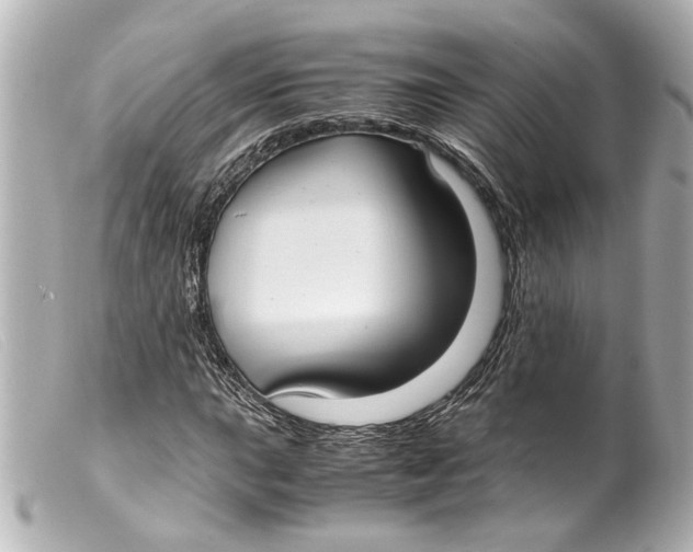 X0000099401015200805291205