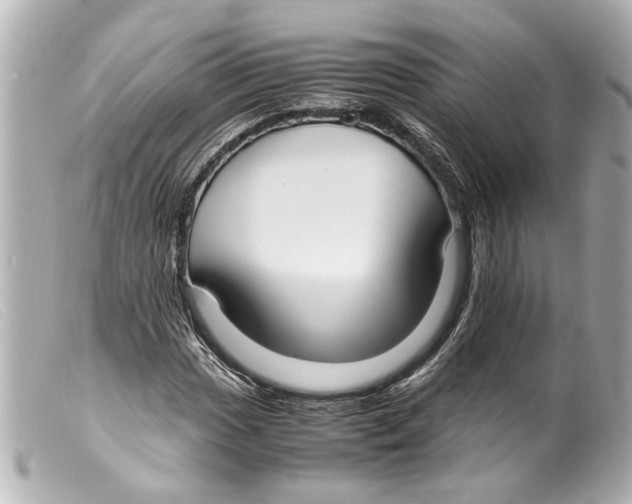 X0000099401017200805291206