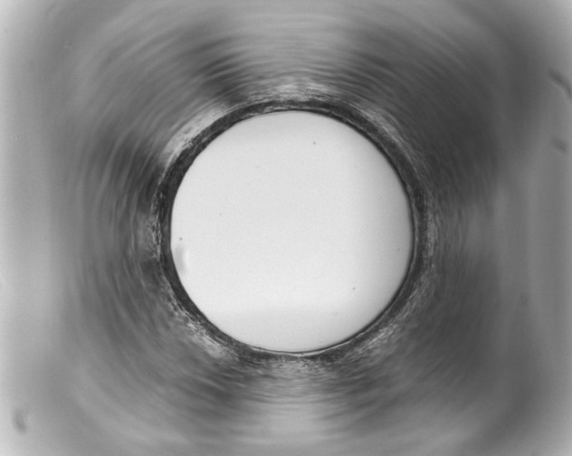 X0000099401018200805291206