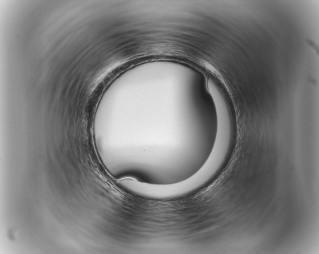 X0000099401019200805291206