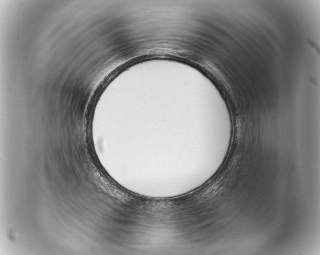 X0000099401020200805291206