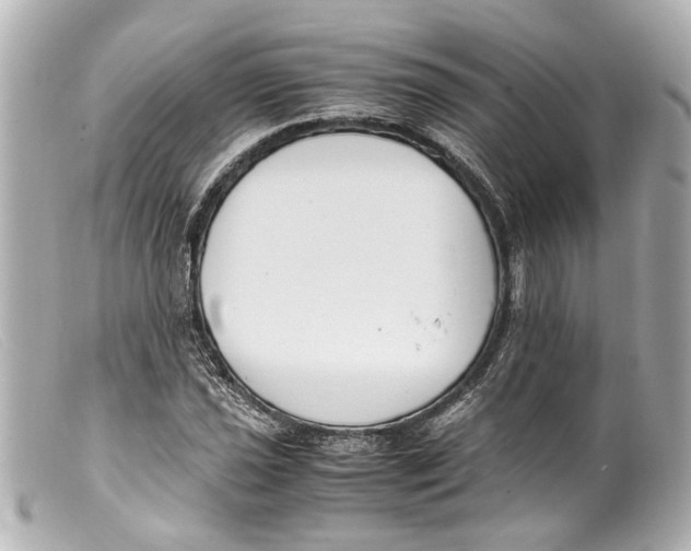 X0000099401021200805291206