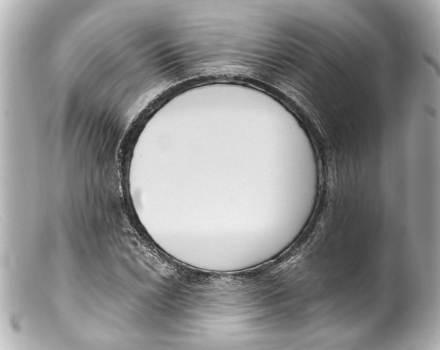 X0000099401022200805291206