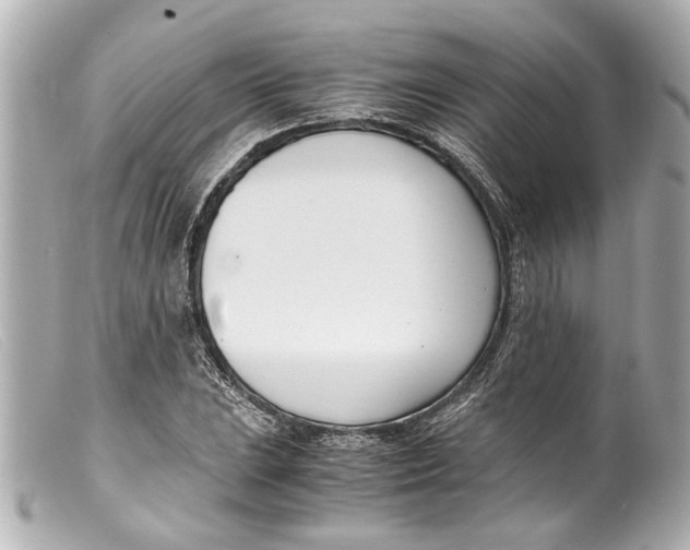 X0000099401023200805291206