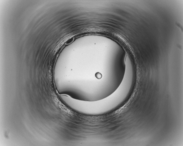 X0000099401025200805291206