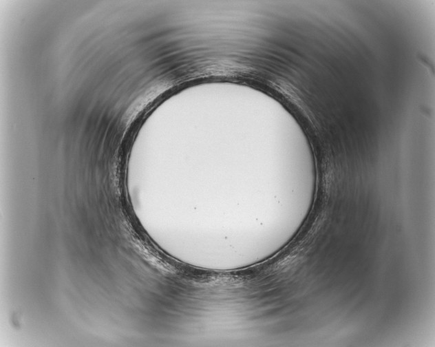 X0000099401026200805291206