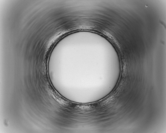 X0000099401027200805291206