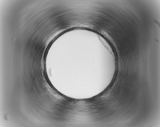 X0000099401028200805291206