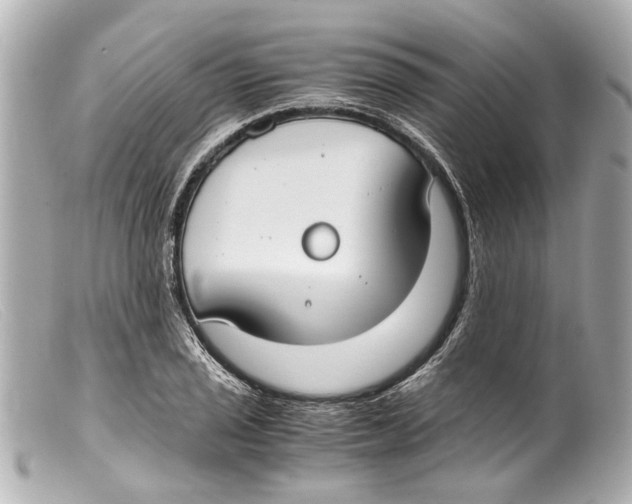 X0000099401029200805291206