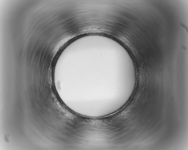 X0000099401030200805291206