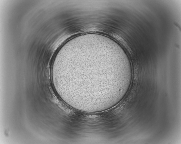 X0000099401031200805291206