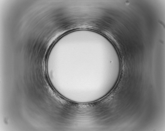 X0000099401032200805291206