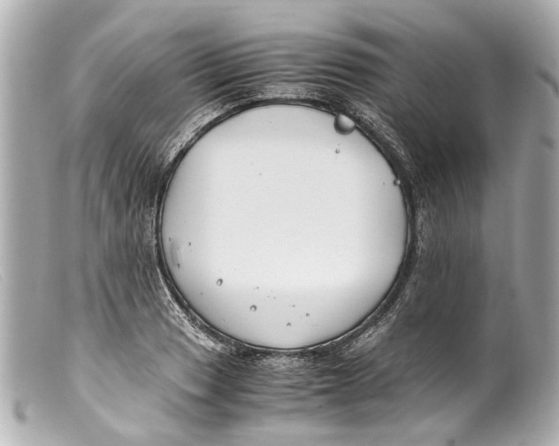 X0000099401033200805291206