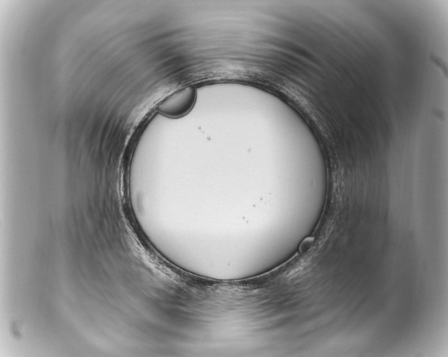 X0000099401034200805291206