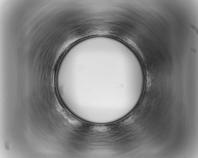 X0000099401035200805291206