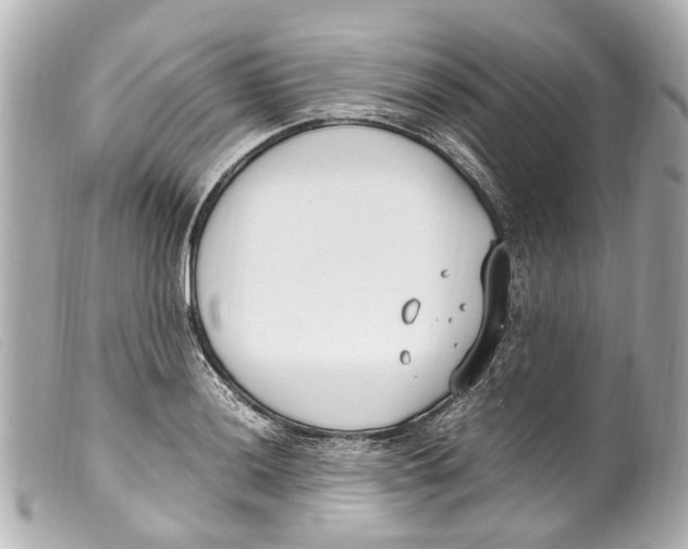 X0000099401036200805291206