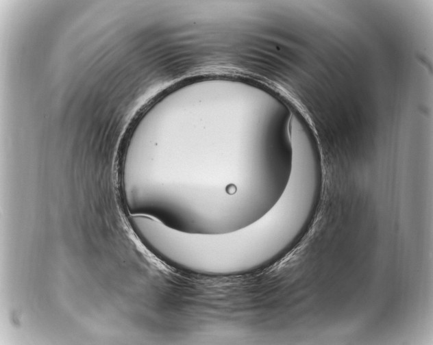 X0000099401037200805291206