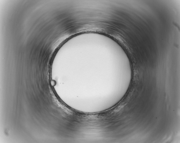 X0000099401038200805291206