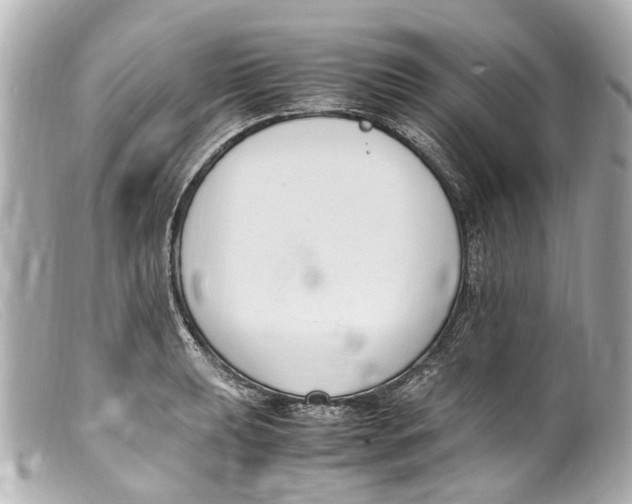 X0000099401039200805291206