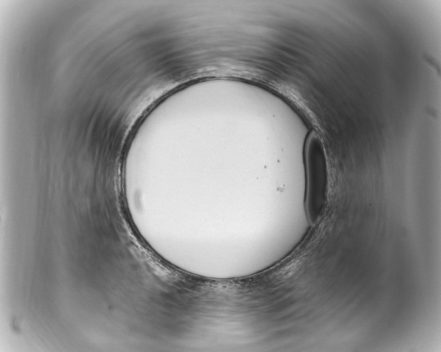 X0000099401040200805291206