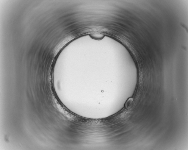 X0000099401042200805291206