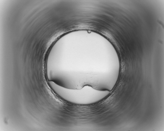 X0000099401043200805291206