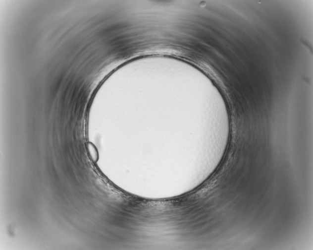 X0000099401044200805291206