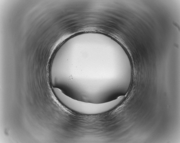 X0000099401045200805291206