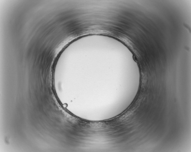 X0000099401046200805291206