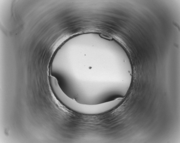 X0000099401047200805291206