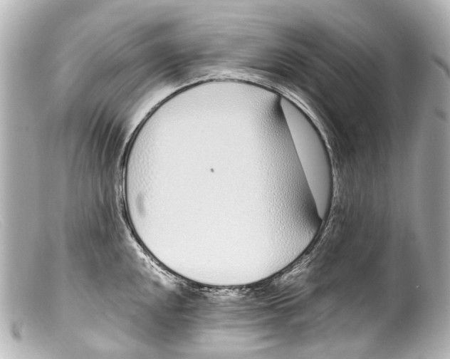 X0000099401048200805291206