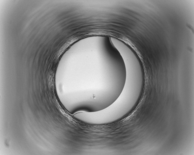 X0000099401049200805291206