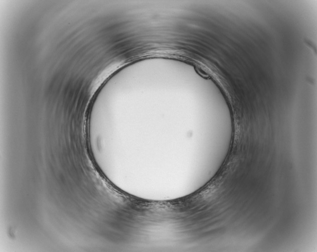 X0000099401050200805291206