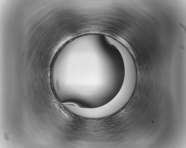 X0000099401051200805291206