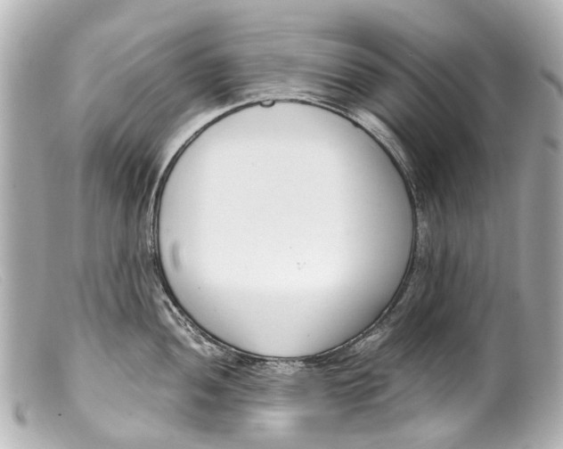 X0000099401052200805291206