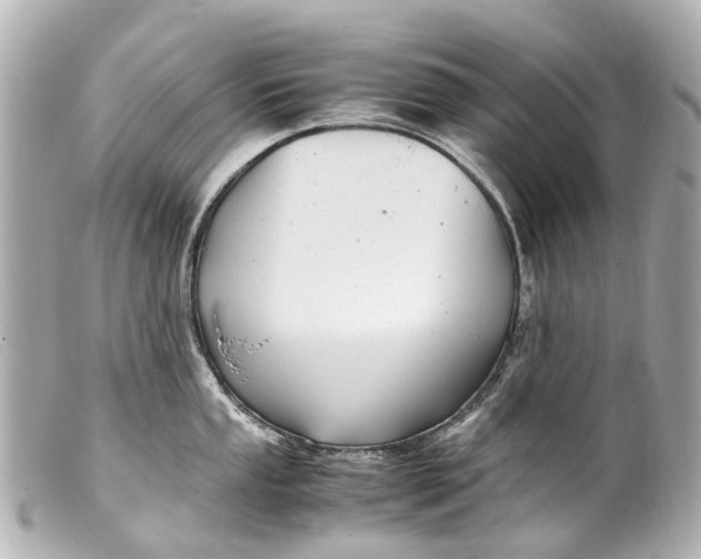 X0000099401053200805291206